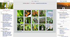 Desktop Screenshot of dominica-island.info