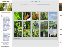 Tablet Screenshot of dominica-island.info